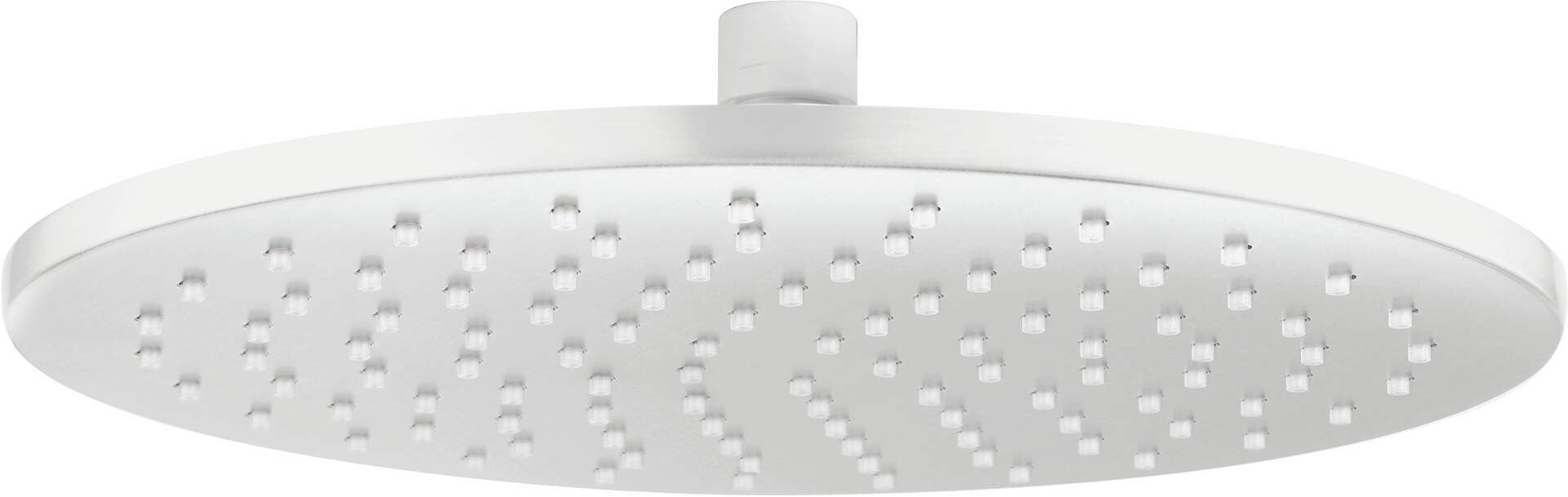 Brass shower head - round