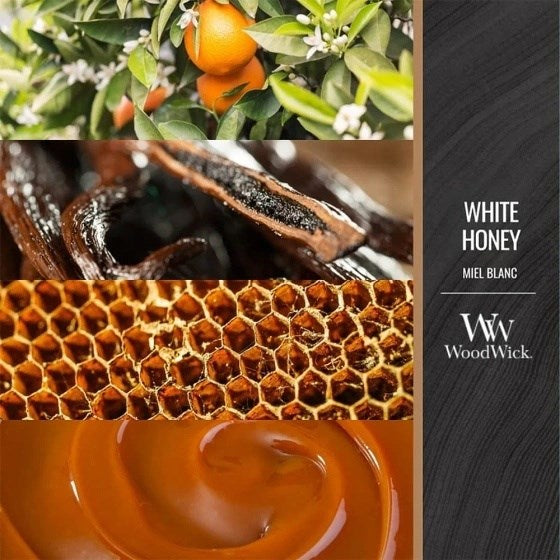 WoodWick Scented Candle Medium White Honey 275 g 1 pc | Model: 2674510E
