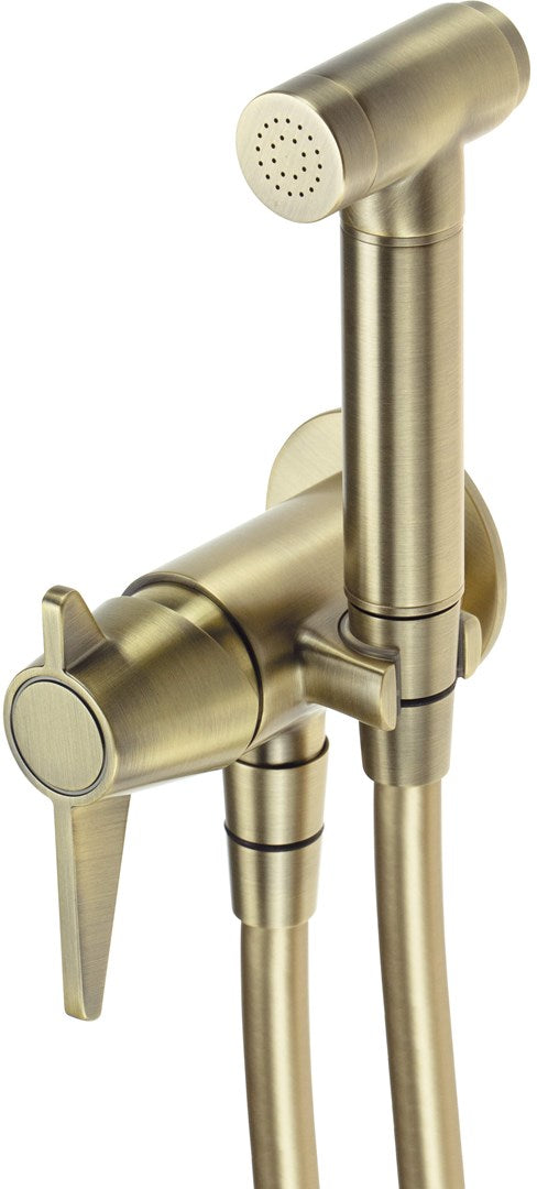 Deante Concealed Bidet Faucet with Bidetta Handset Brass