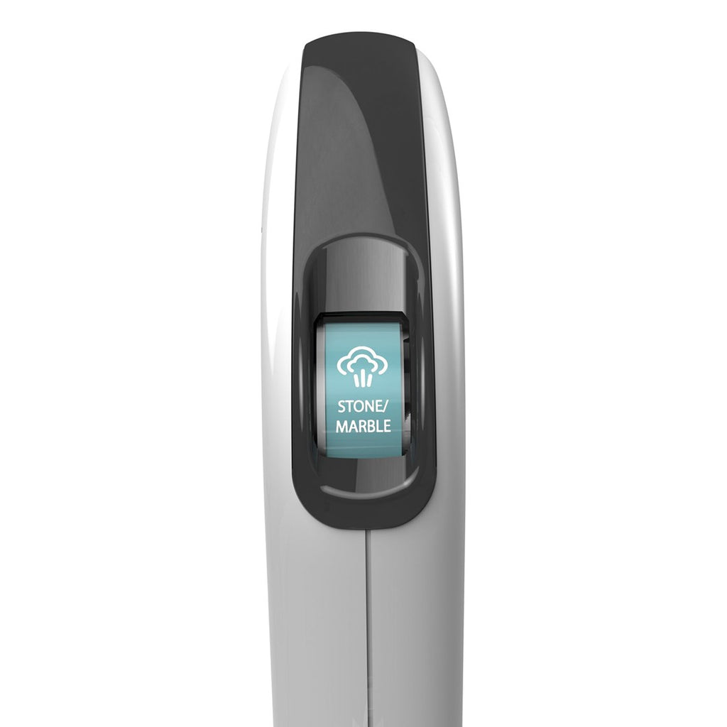 Portable Steam Cleaner 1600W 350 ml