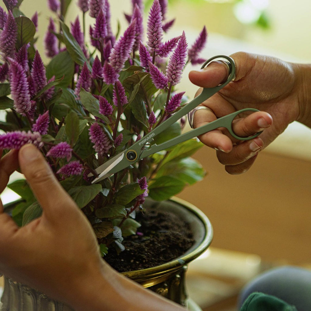 Plant Care Set for Plants 3 pcs