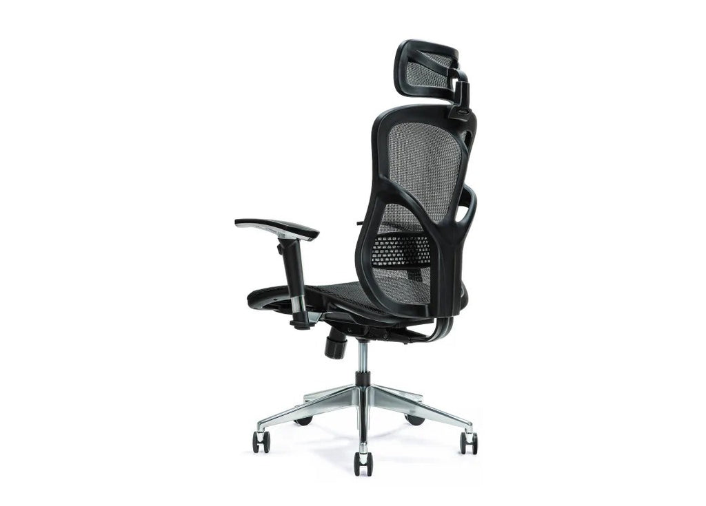 Ergonomic Office Chair ERGO 500 Black