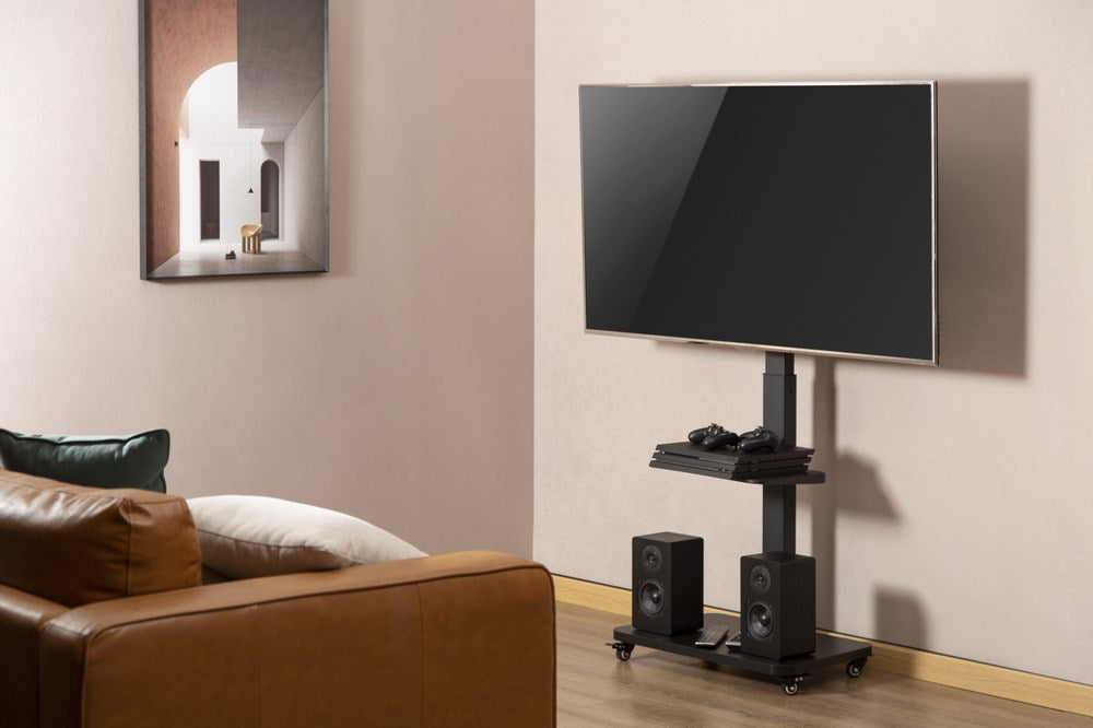 Gembird TVS-75S-02 TV floor stand with caster wheels  37  - 75   black