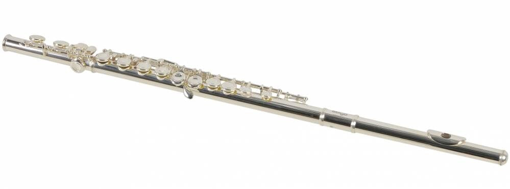 Stagg C Key Transverse Flute - Includes Protective Case - SWSFL211S