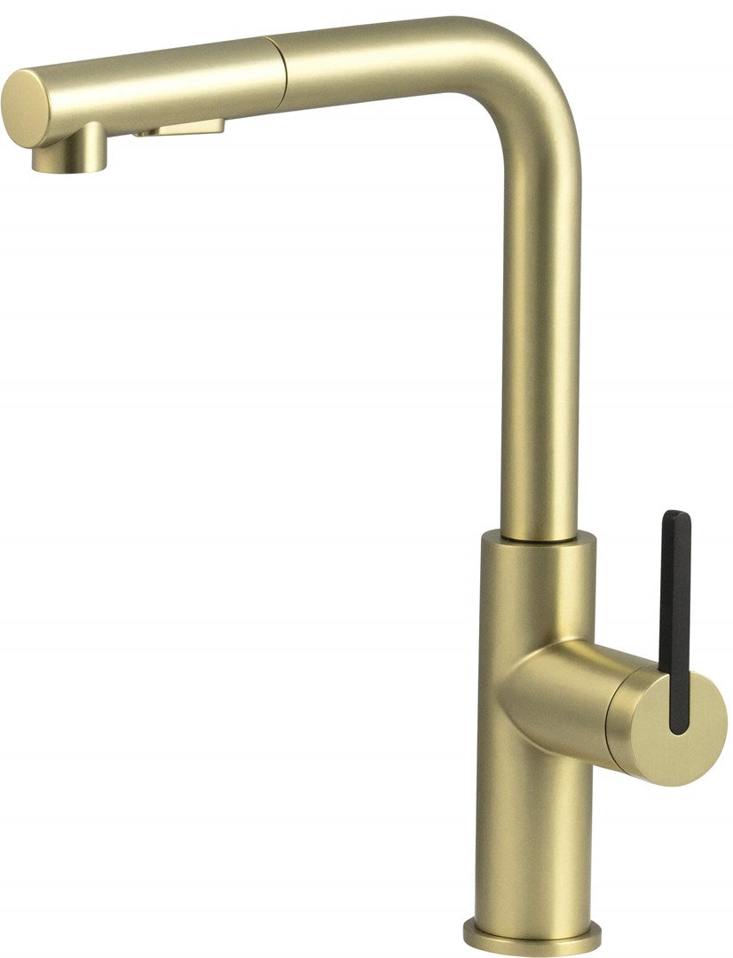 Deante Kitchen Faucet Pull-Out Spout Brushed Gold