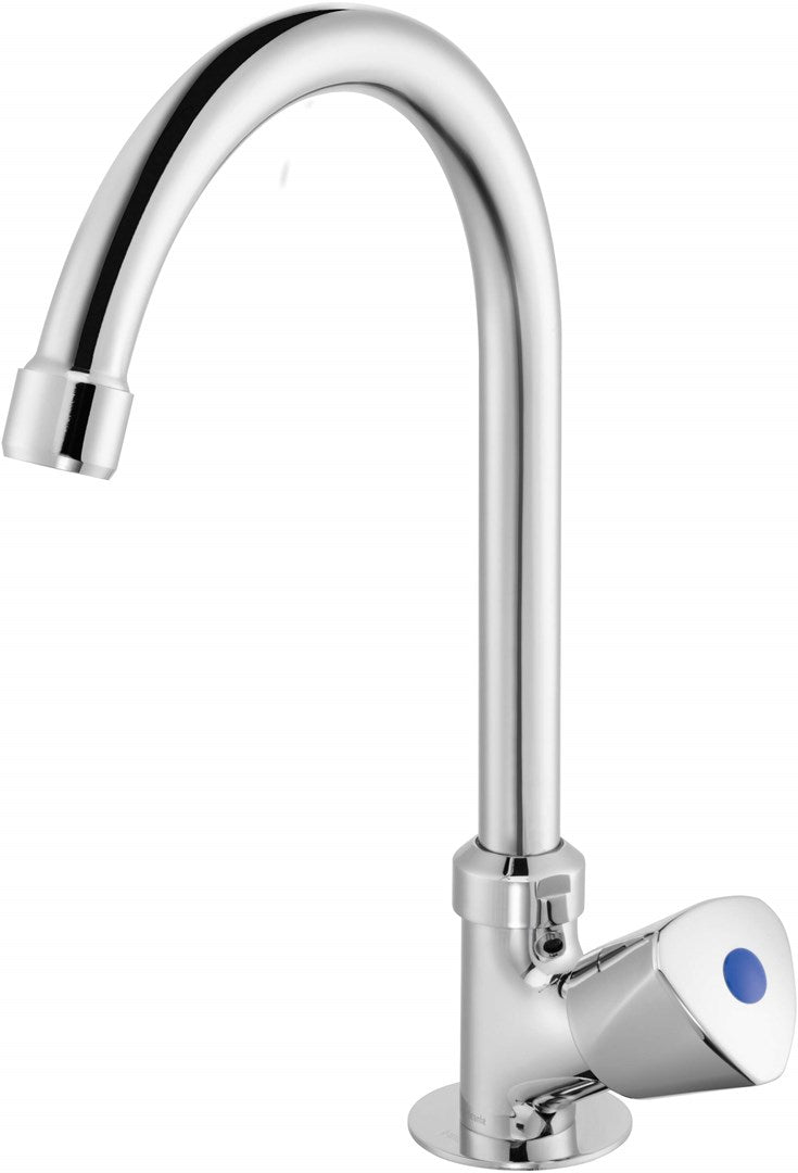 Kitchen faucet for cold or mixed water