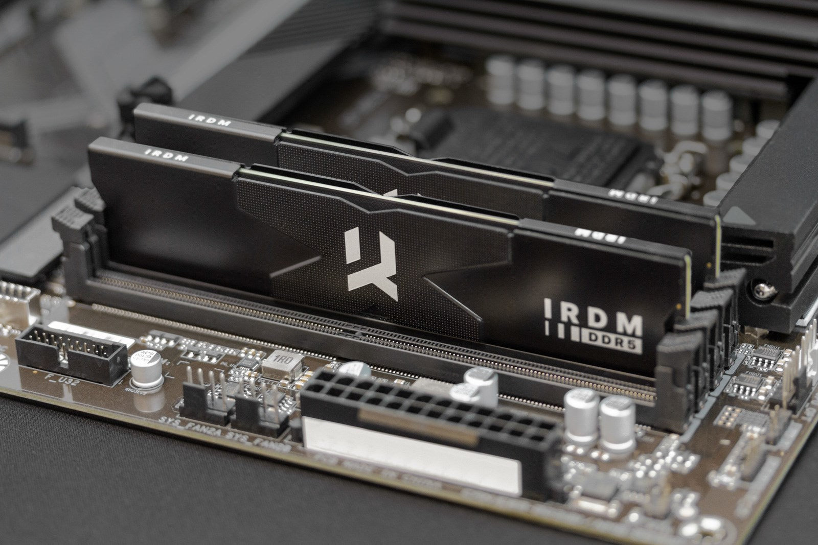 GOODRAM DDR5 16GB CL36 2048Mx8 IRDM