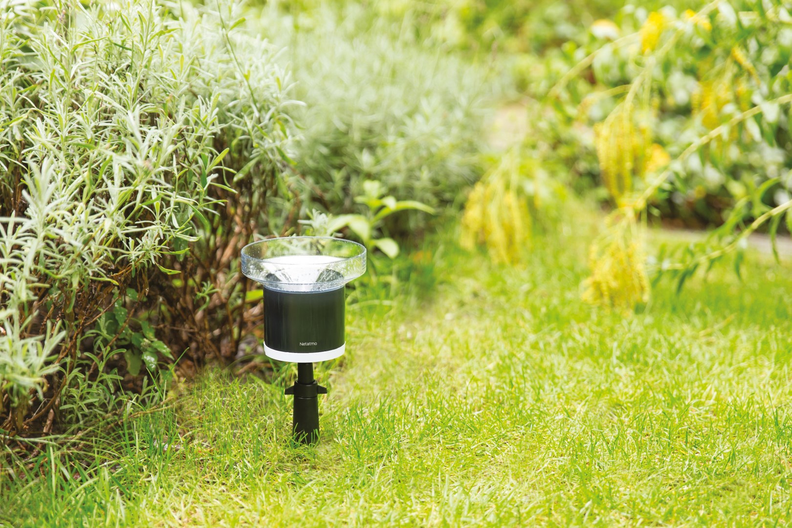 Netatmo Smart Rain Gauge