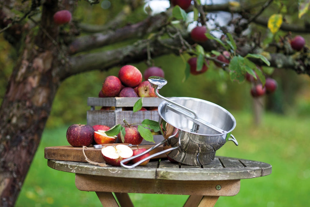 Stainless Steel Food Mill with 2 Discs for Smooth Soups and Sauces