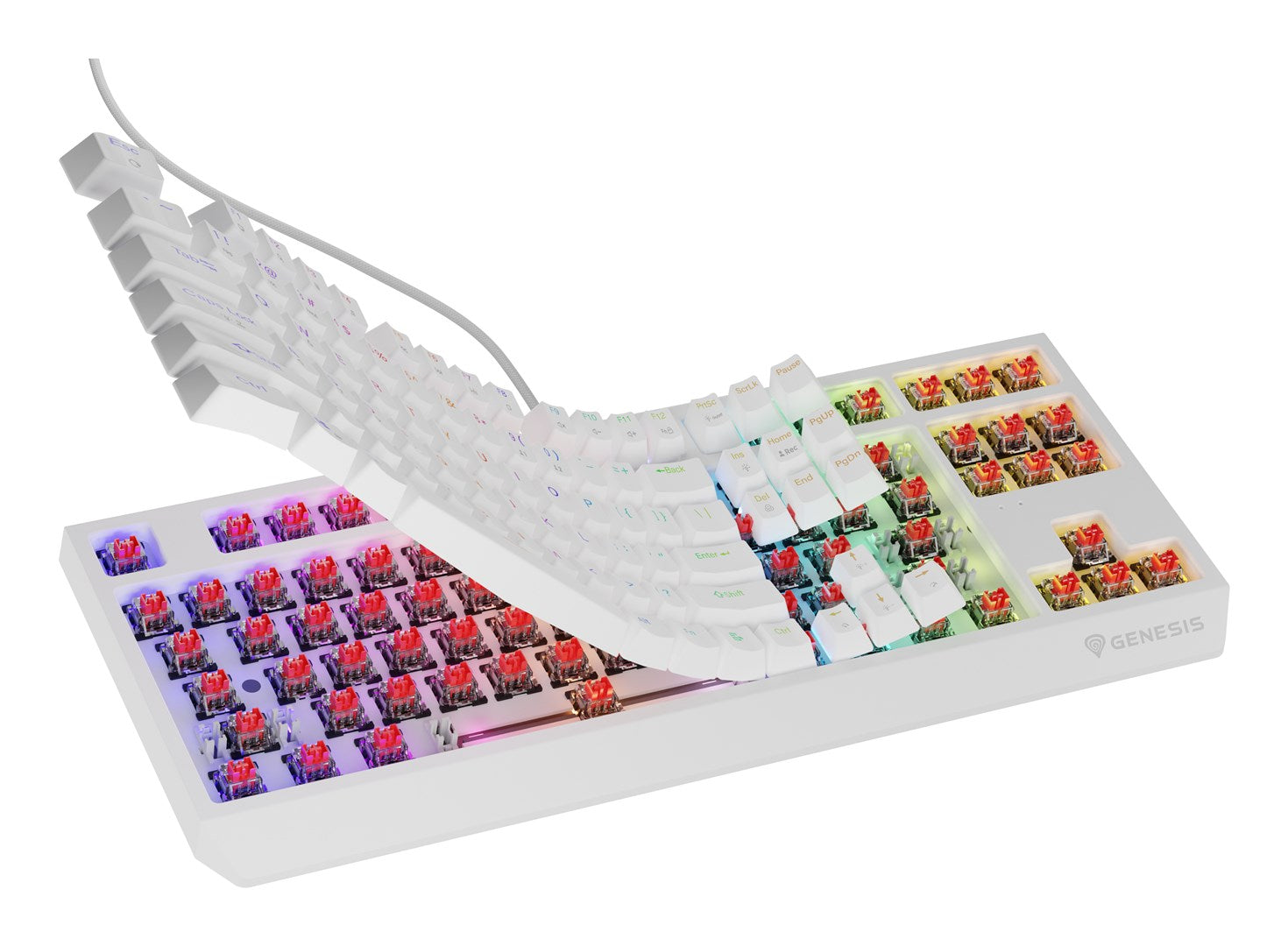 GENESIS Thor 230 TKL Gaming Keyboard USB