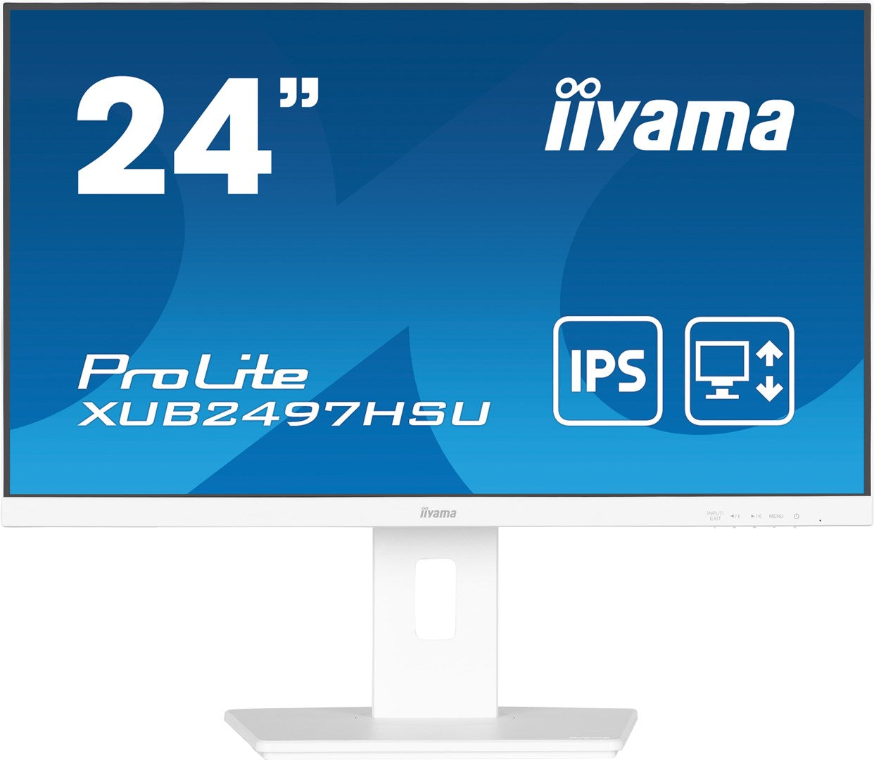 Pos 2 — EAN 4948570125074