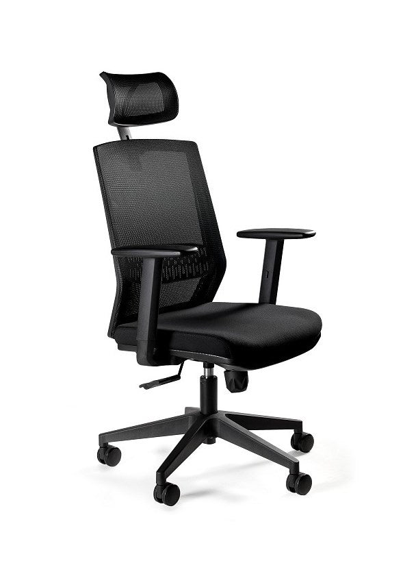 Ergonomic Office Chair ESTA Black with Adjustable Armrests