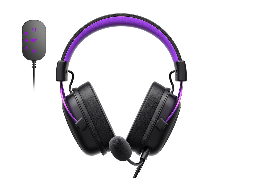Havit H2002C+U Gaming Headphones (Black and Purple)