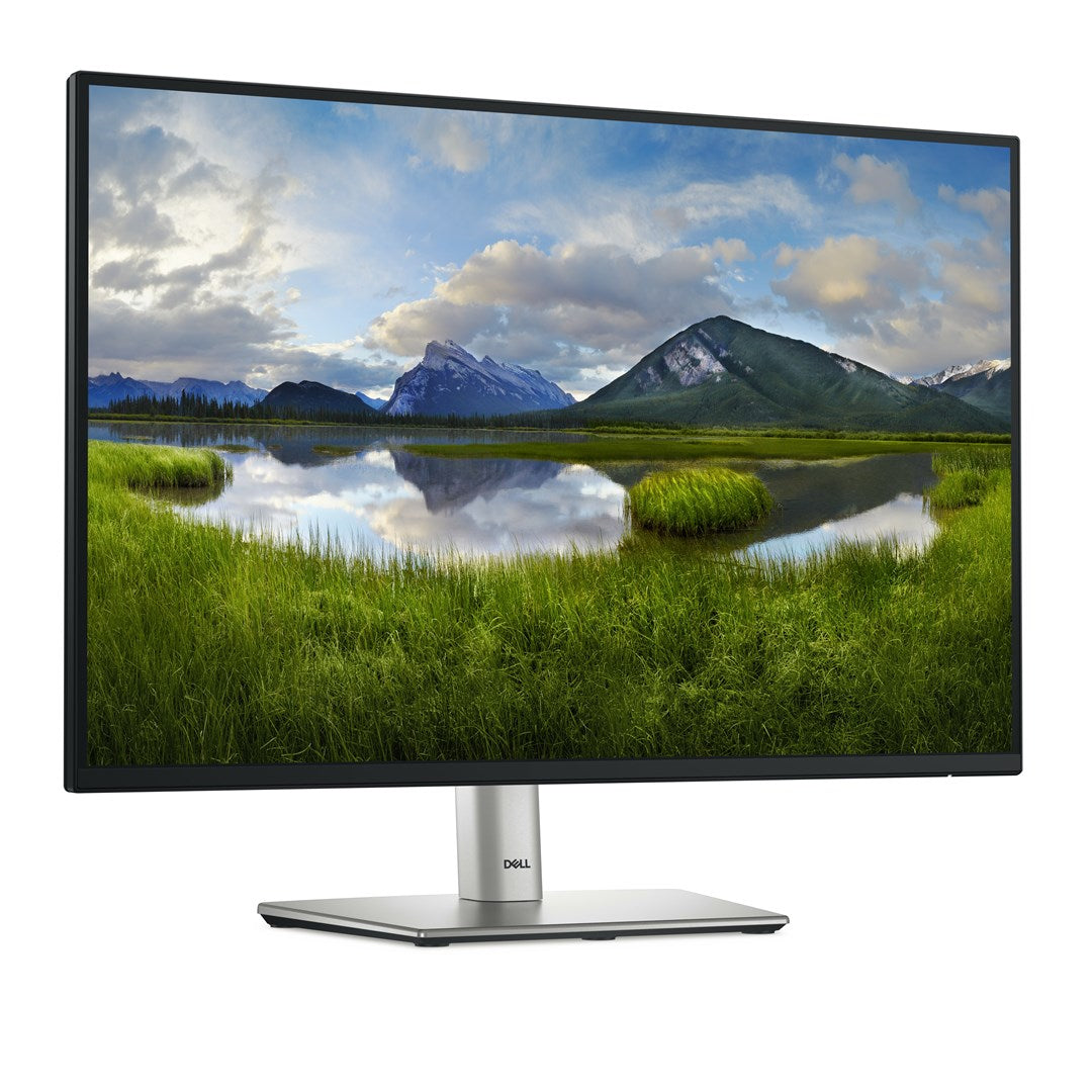 DELL P Series P2425E computer monitor 61.1 cm (24.1 ) 1920 x 1200 px WUXGA LCD  black