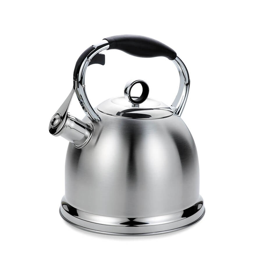 MAESTRO Kettle 2.9L Stainless Steel MR-1334