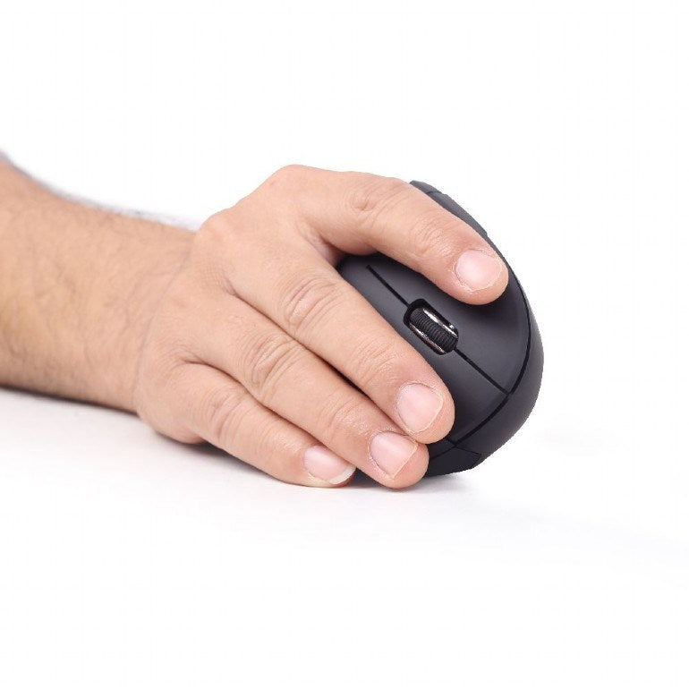 Gembird Wireless Optical Mouse 1600 DPI - 6 Buttons - MUSW-ERGO-01