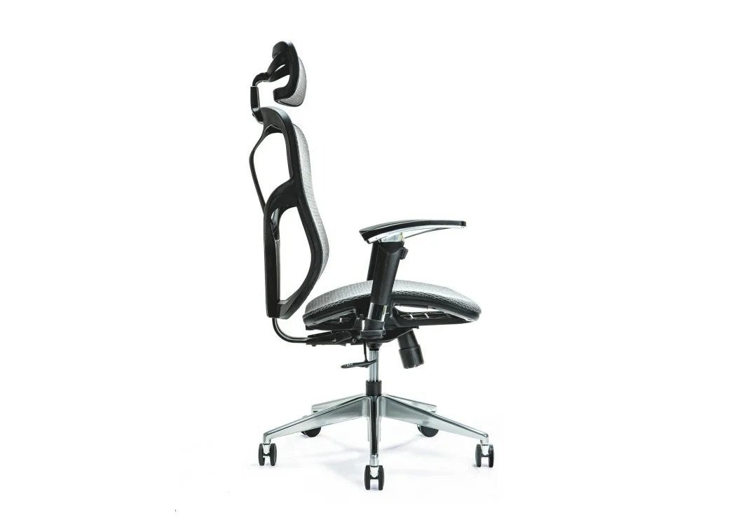 Ergonomic Office Chair ERGO 500 Grey