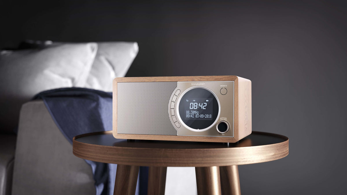 Sharp DR-450 Personal Digital Brown  Stainless steel