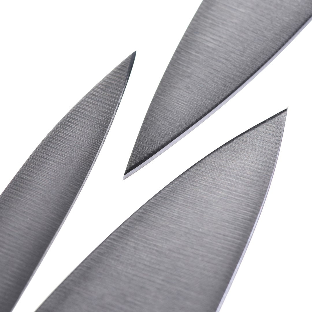 ZWILLING Set of knives Küchenmesser Edelstahl (35175-000-0)