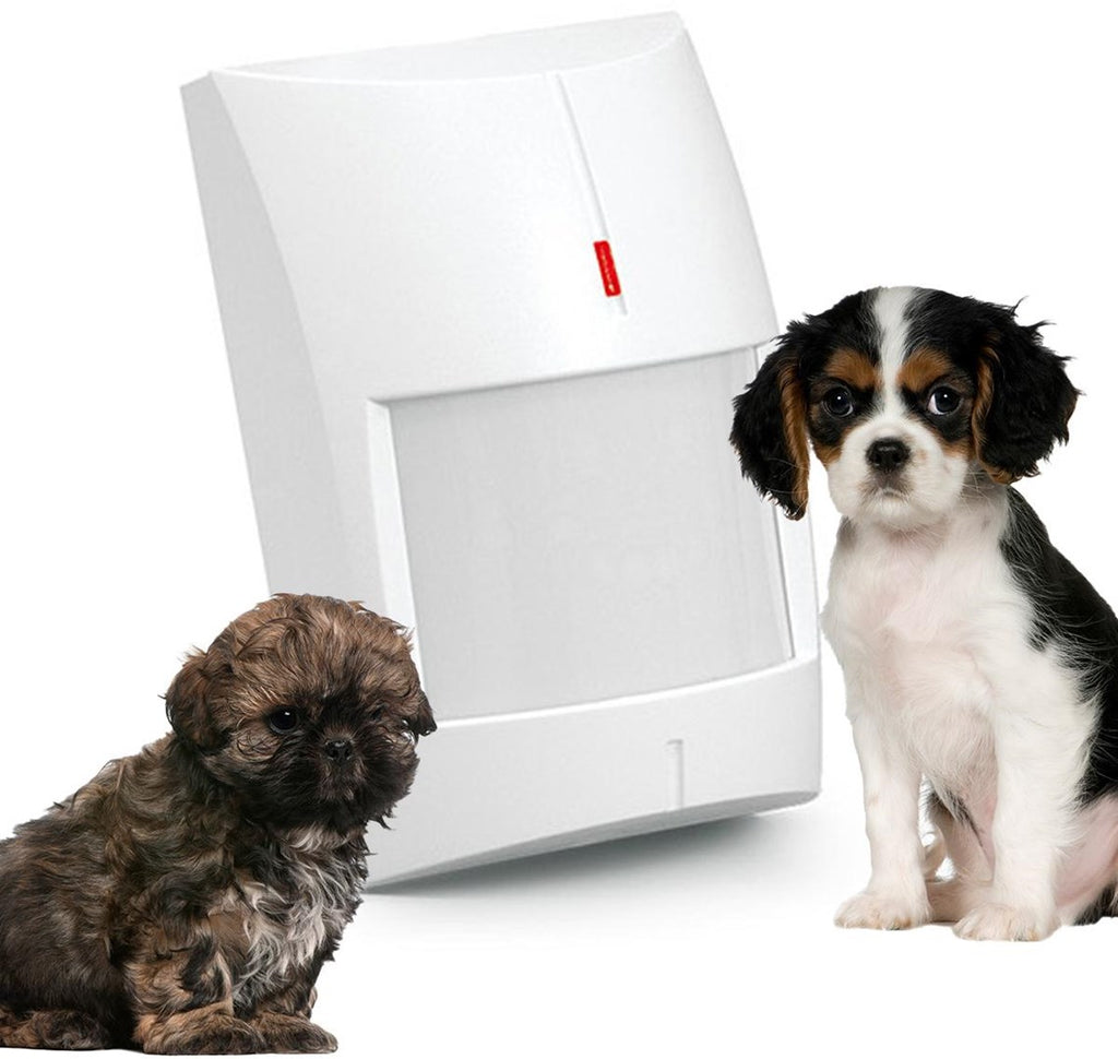 SATEL Motion Sensor PIR+MW Gray - Digital Dual Motion Detector with Pet Immunity