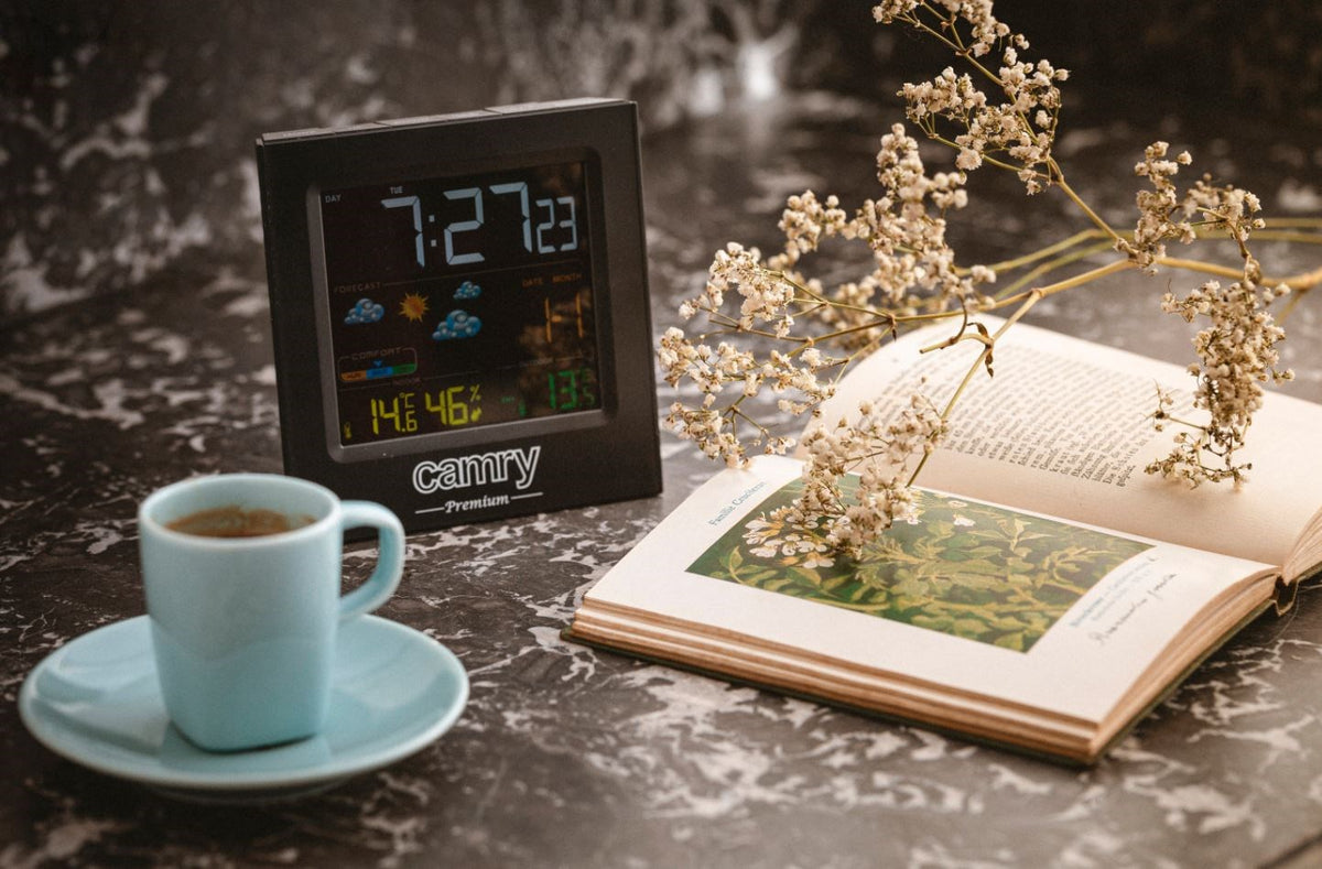 Camry CR 1166 Weather Station