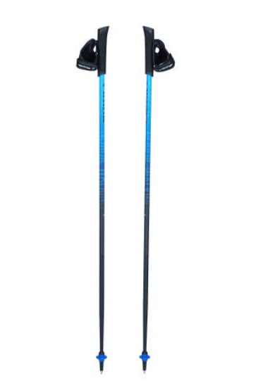 Nordic walking poles Viking Pro-Trainer blue 110