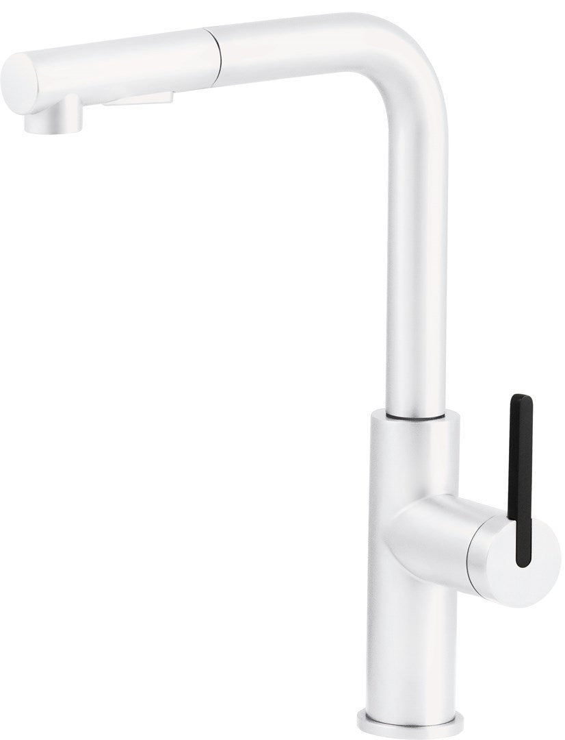 deante Kitchen Faucet with Pull-Out Sprayer BKM_A73M