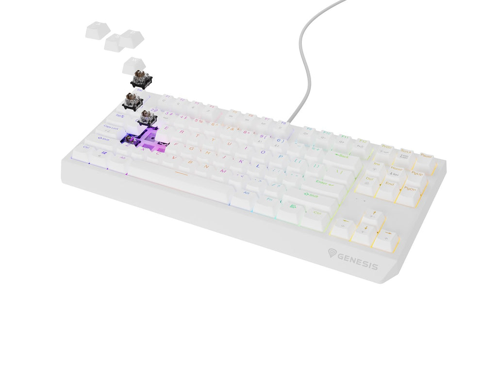 GENESIS Thor 230 TKL Keyboard Gaming USB + RF Wireless + Bluetooth QWERTY White