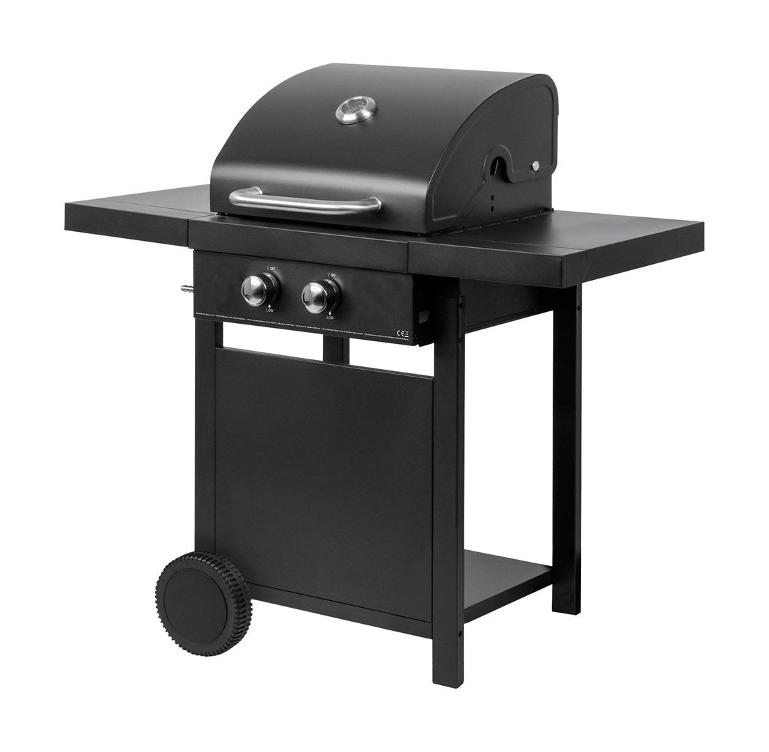 MASTER 2-Burner Gas Grill MG669