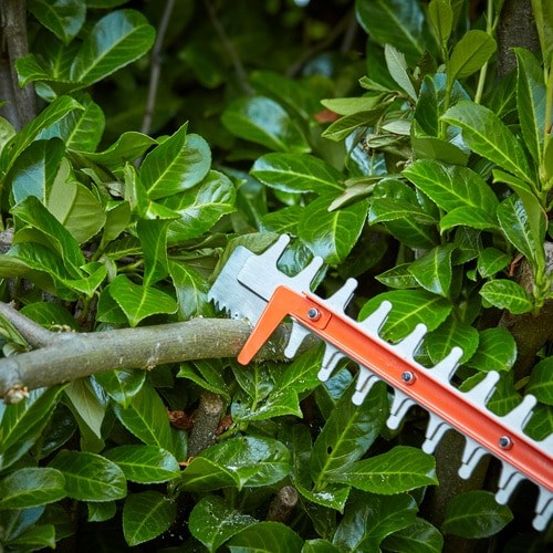 Black & Decker Hedge Trimmer 650W 60 cm 25 mm Cutting Diameter BEHTS551-QS 650W/60cm/25mm
