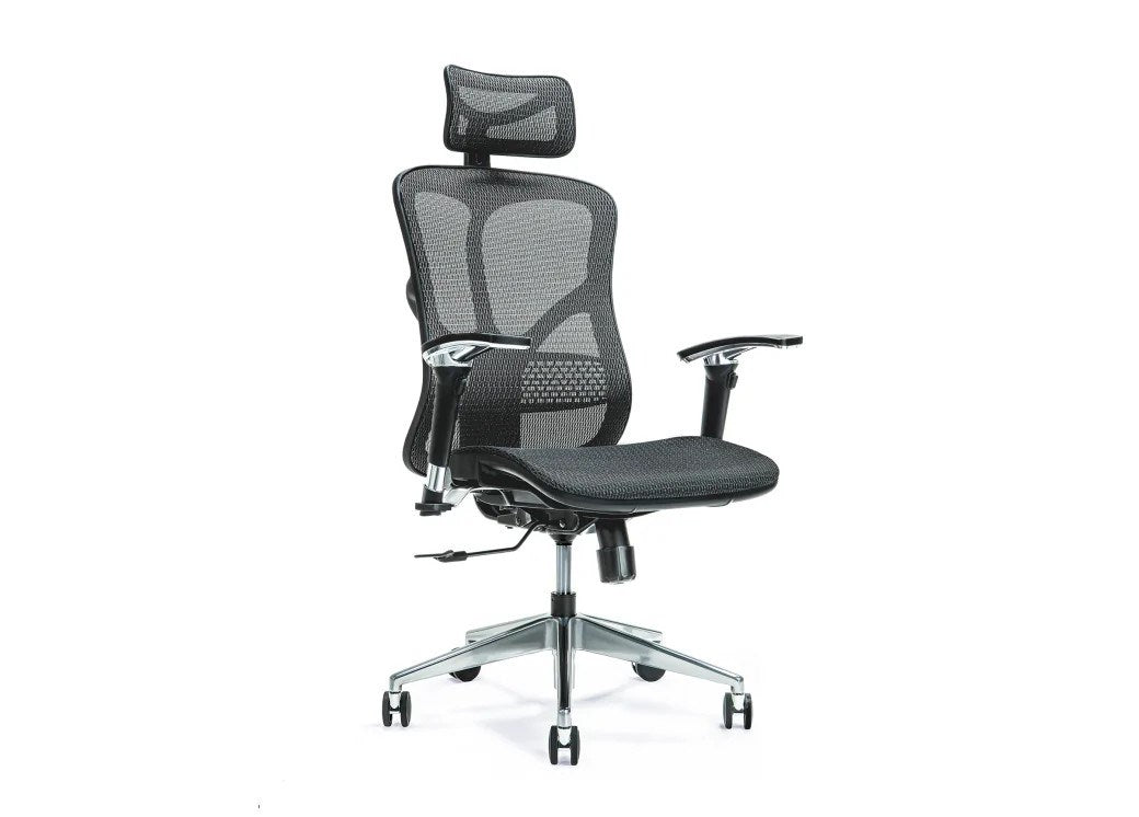 Ergonomic Office Chair ERGO 500 Black