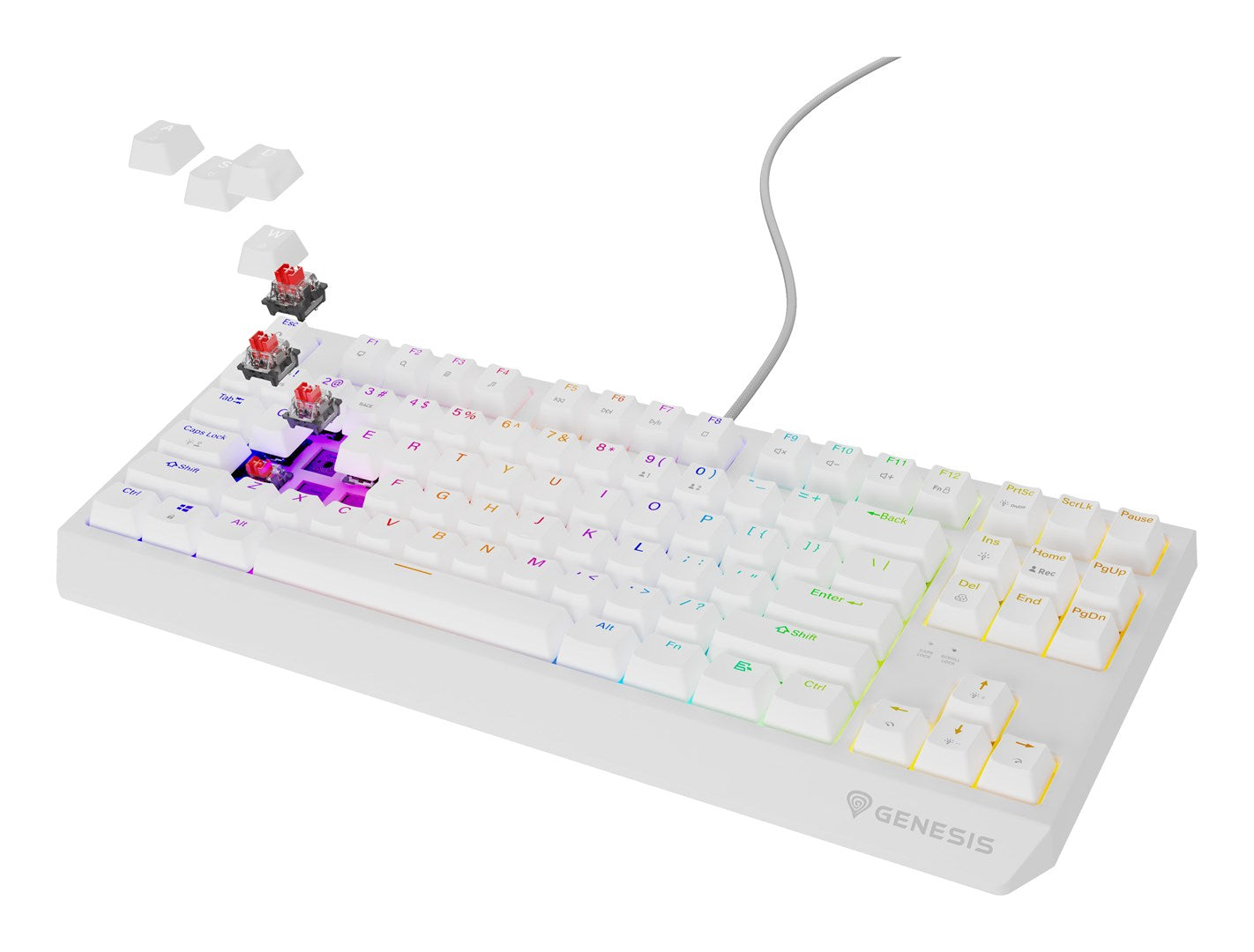 GENESIS Thor 230 TKL Gaming Keyboard USB
