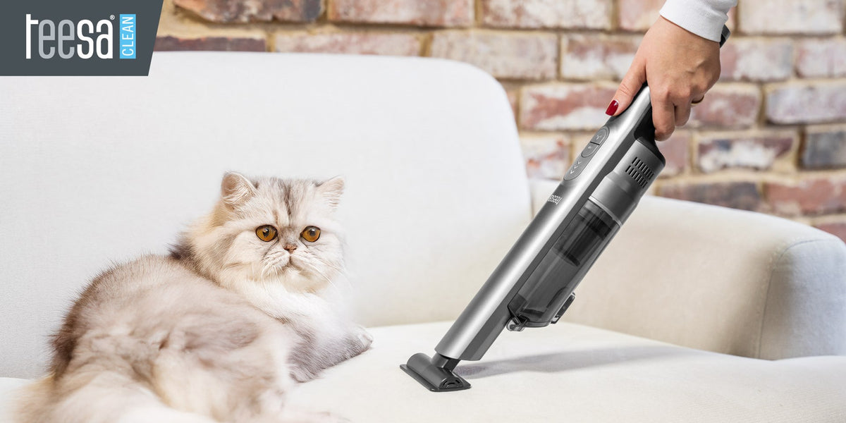 TEESA Handheld Cordless Vacuum Cleaner 200W TSA5017