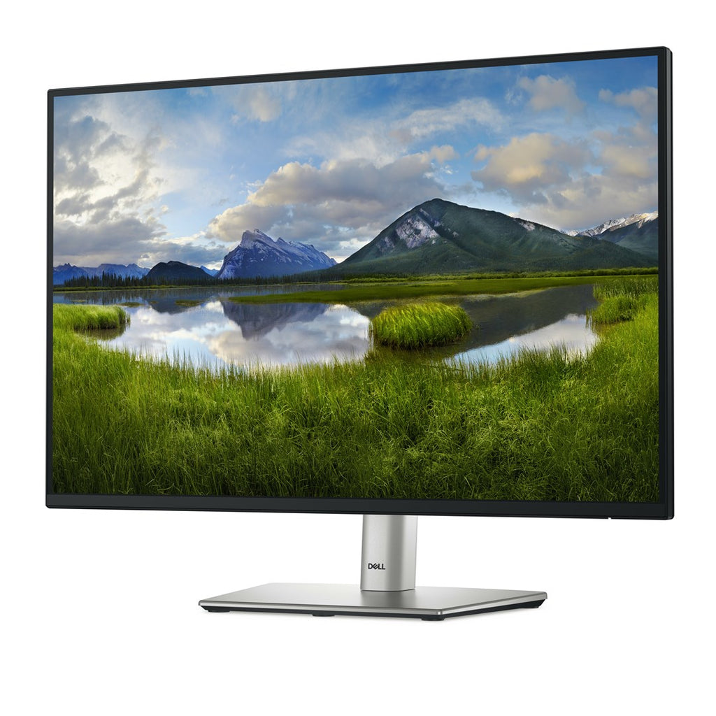 DELL P Series P2425E computer monitor 61.1 cm (24.1 ) 1920 x 1200 px WUXGA LCD  black