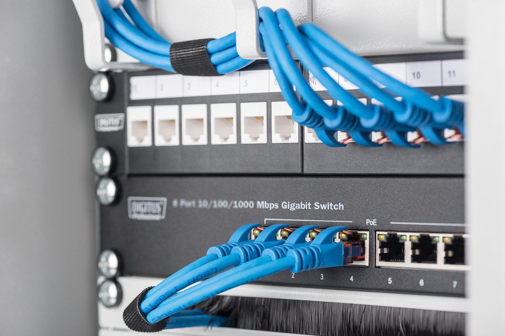DIGITUS Professional DN-80114 Unmanaged Switch 8 x 10/100/1000