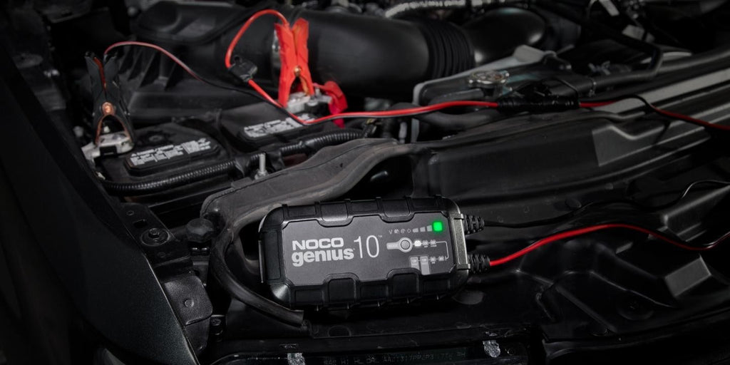 NOCO GENIUS10 EU - 10A Battery Charger - for 6V/12V Batteries - Maintenance and Desulfurization Function (GENIUS10EU)
