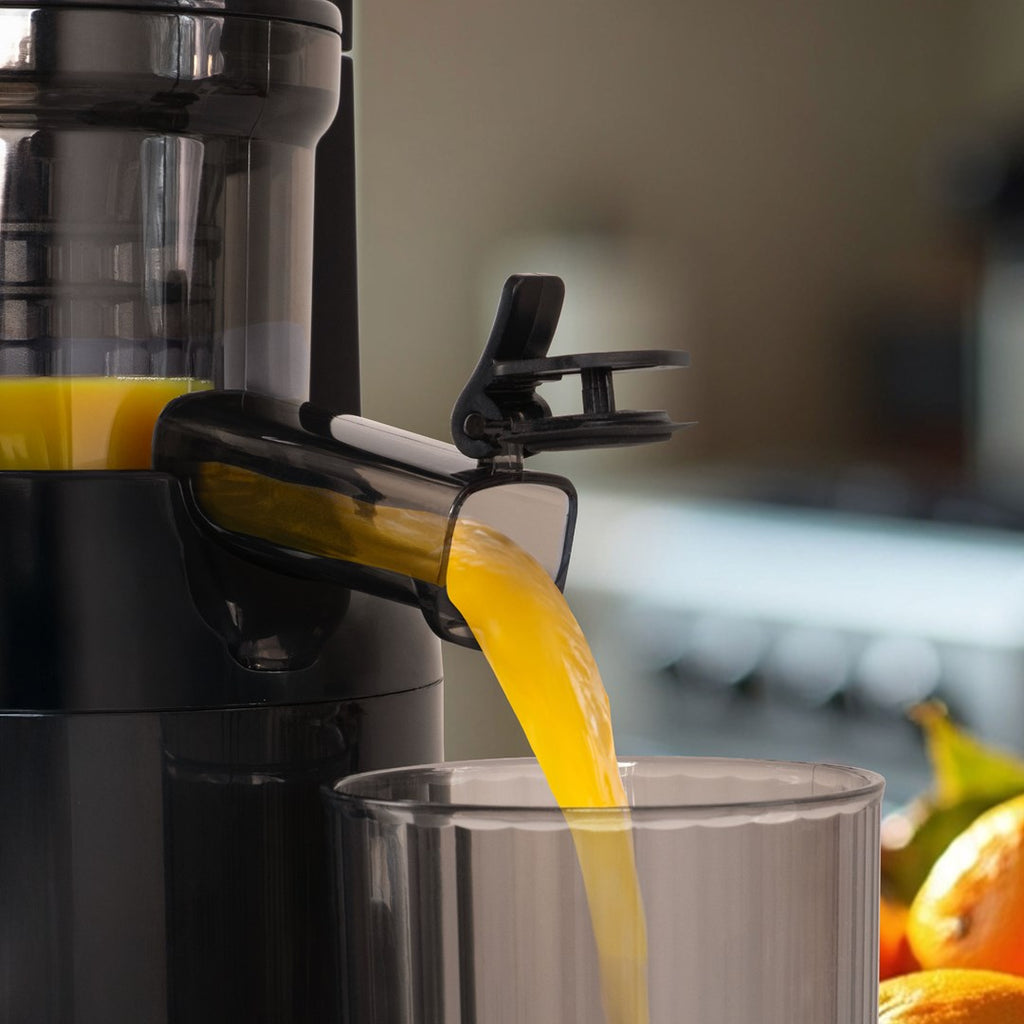 ELDOM Slow Juicer 250 W PJ350