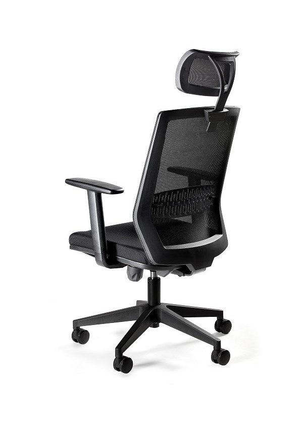 Ergonomic Office Chair ESTA Black with Adjustable Armrests
