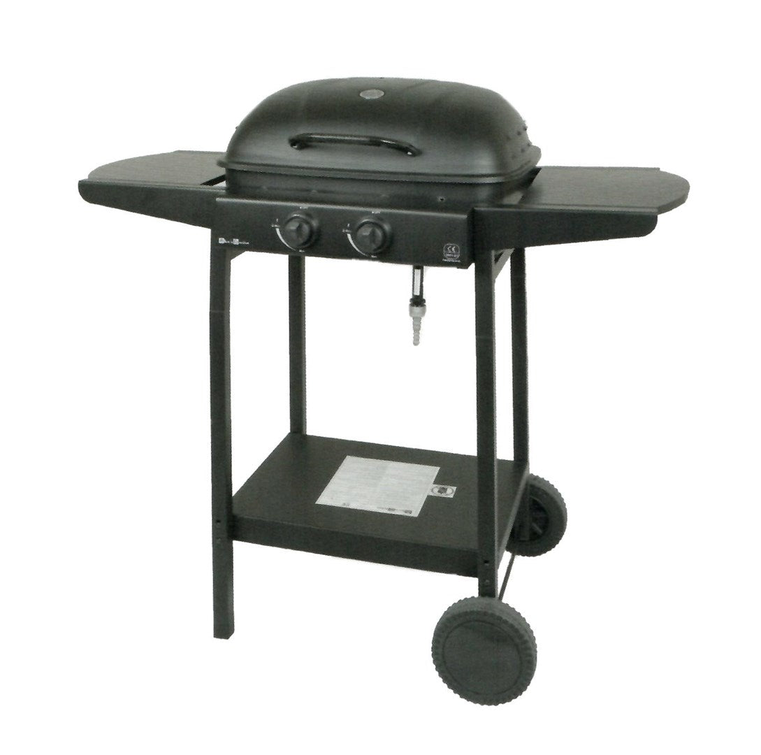Master 2-Burner Gas Grill MG672 5.6kW