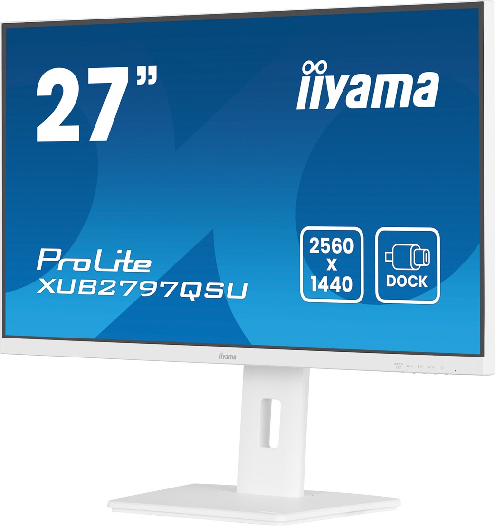 IIYAMA Monitor 27-inch Quad HD 2560x1440 100Hz IPS 517600