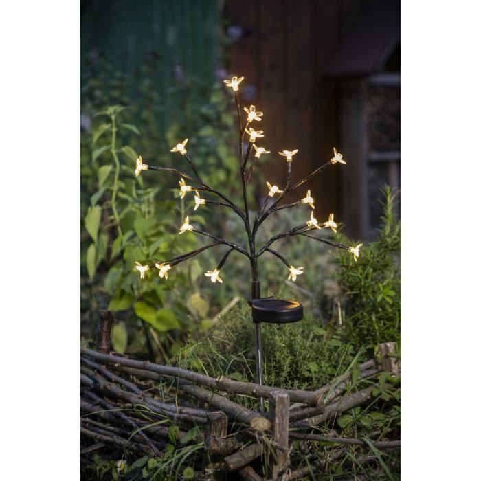 Sun-flowering shrub - GALIX - G4505 - H72