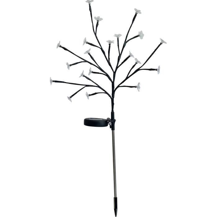 Sun-flowering shrub - GALIX - G4505 - H72