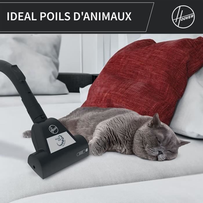 HOOVER HP320PET Bagless Cylinder Vacuum Cleaner - 850W - 2 L - 75 dBA - Pet-Friendly