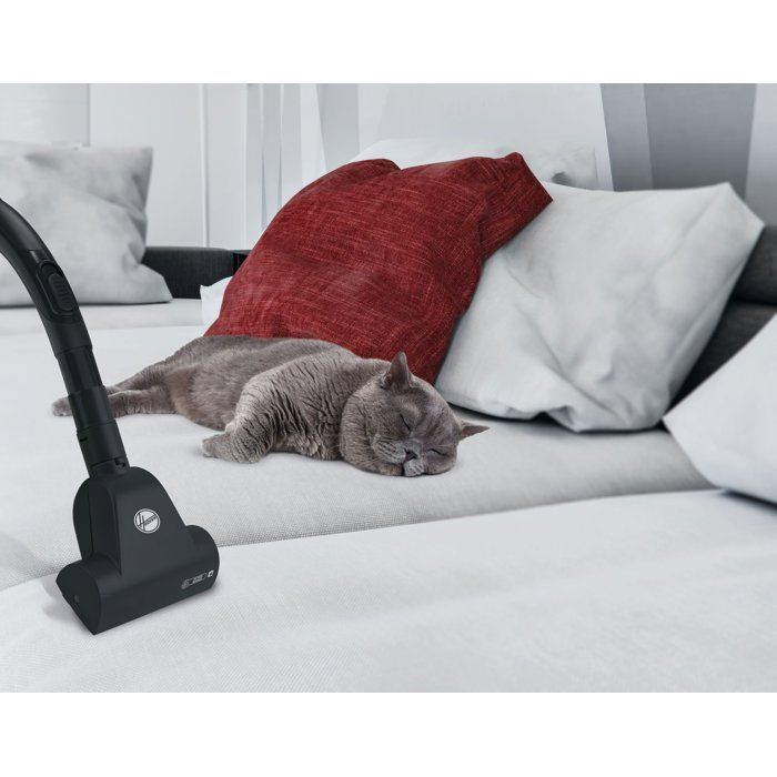 HOOVER TXL21PET Bagged Cylinder Vacuum Cleaner - 700W - EPA12 Filter - Ultra-Maneuverable