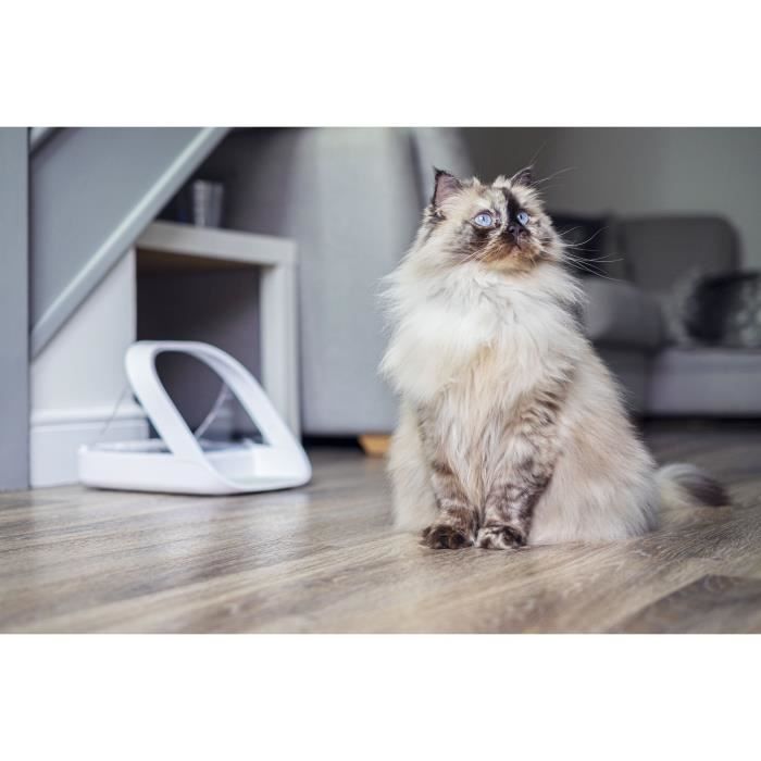 SUREFEED Smart Feeder - White - Ideal for Overweight Cats and Multi-Pet Households