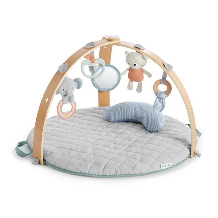 INGENUITY Tapis d'éveil réversible  bébé évolutif - Loamy -  pliable, arche de jeu en bois amovible, 5 jouets,cadeau bébé