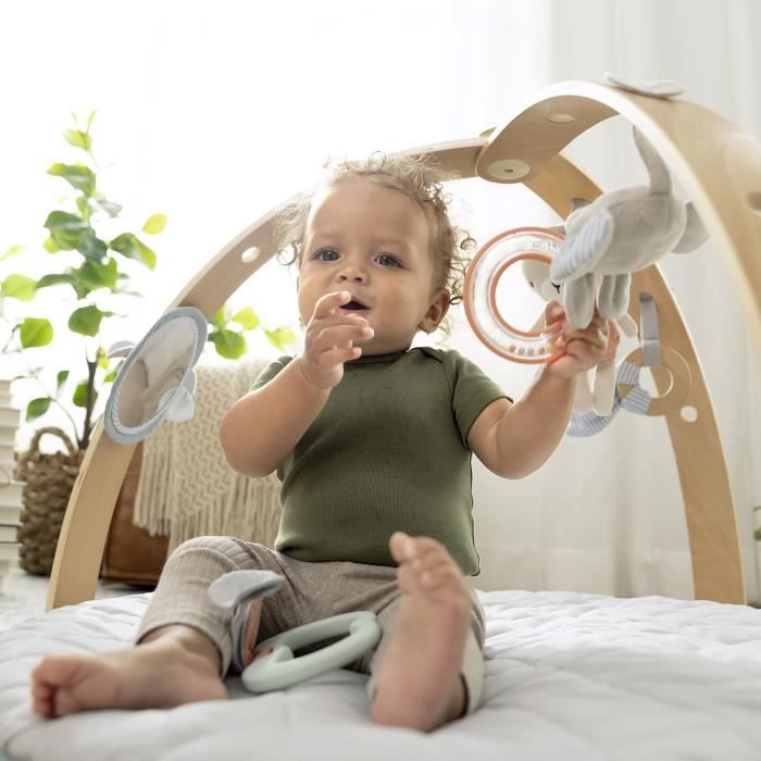 INGENUITY Tapis d'éveil réversible  bébé évolutif - Loamy -  pliable, arche de jeu en bois amovible, 5 jouets,cadeau bébé