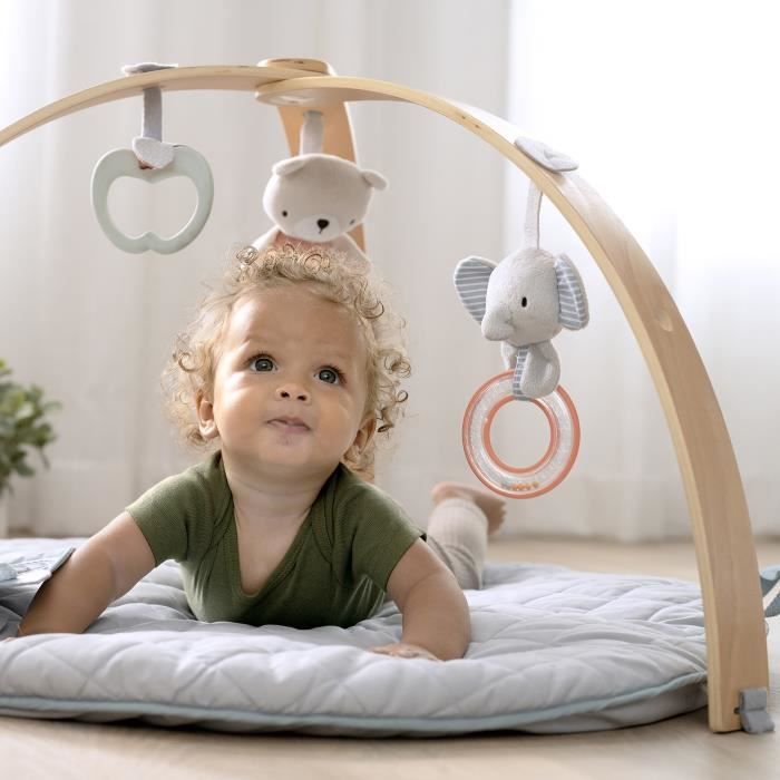 INGENUITY Tapis d'éveil réversible  bébé évolutif - Loamy -  pliable, arche de jeu en bois amovible, 5 jouets,cadeau bébé