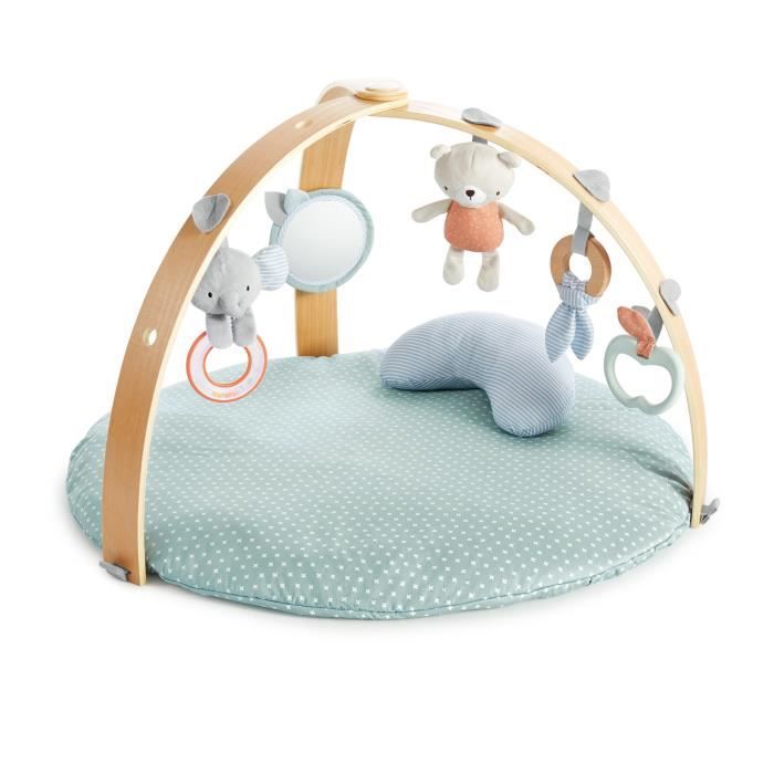 INGENUITY Tapis d'éveil réversible  bébé évolutif - Loamy -  pliable, arche de jeu en bois amovible, 5 jouets,cadeau bébé