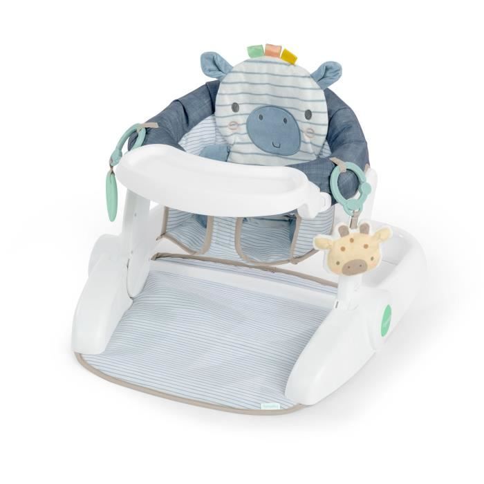 INGENUITY - Casi the Zebra - Baby Learning Seat - Provides Support for Baby, Baby Gift